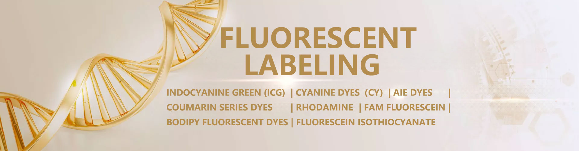 Customized Fluorescent Labeling