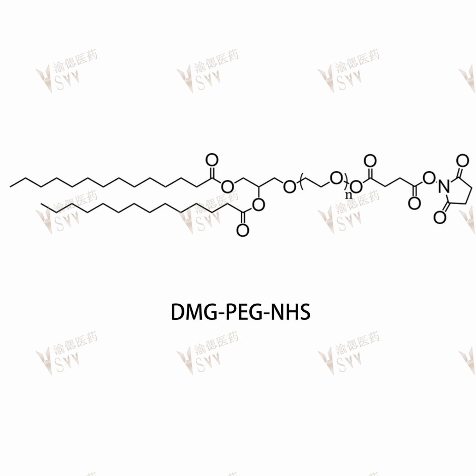DMG-PEG-NHS  NHS-PEG-DMG