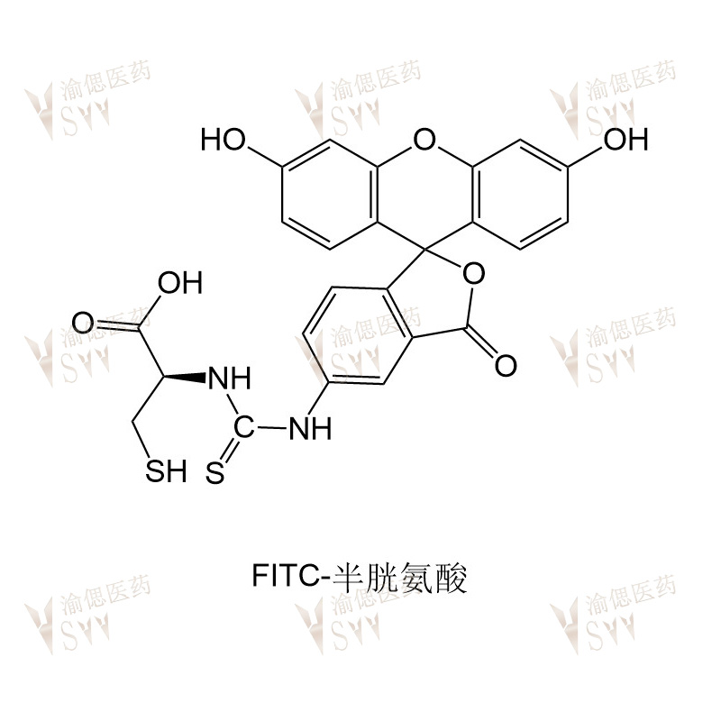 FITC-cystine  cystine-FITC