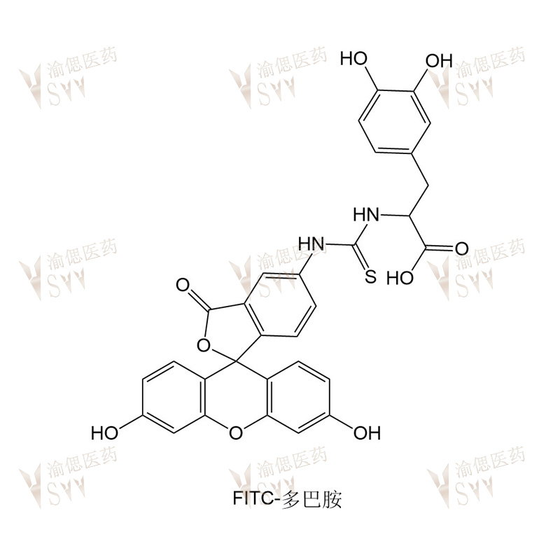FITC-Dopamine  Dopamine-FITC
