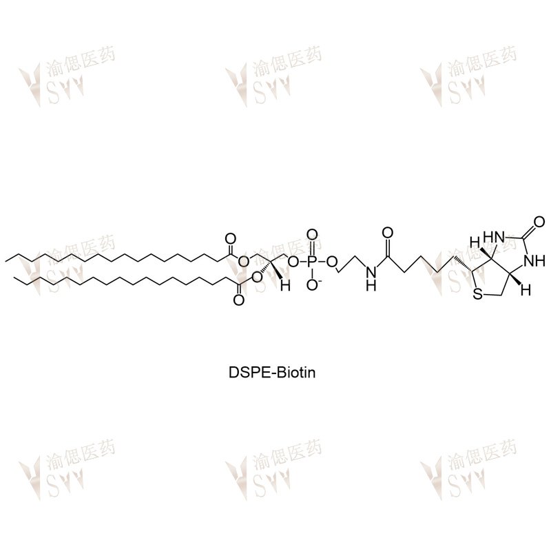 DSPE-Biotin  Biotin-DSPE