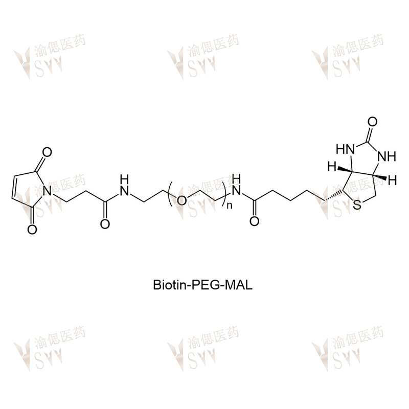 Biotin-PEG-Mal  Mal-PEG-Biotin