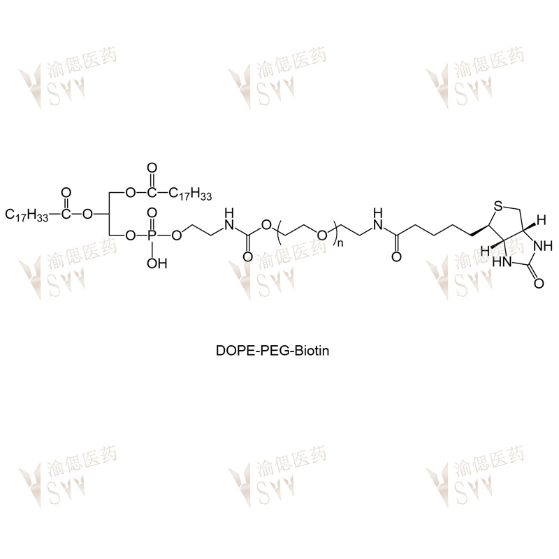 DOPE-PEG-Biotin
