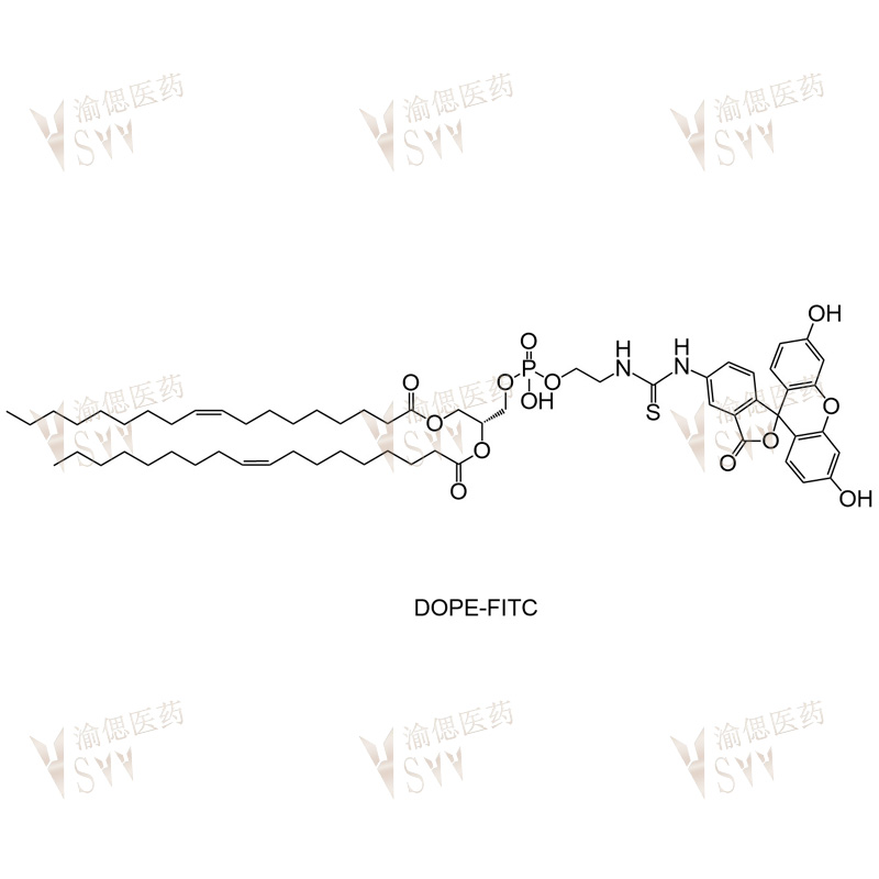 DOPE-FITC