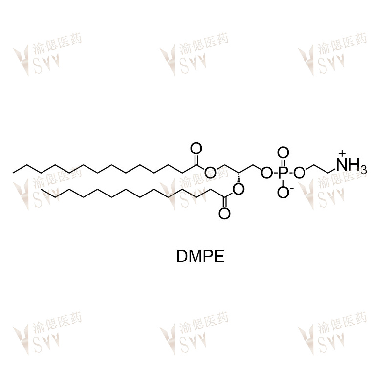 DMPE  