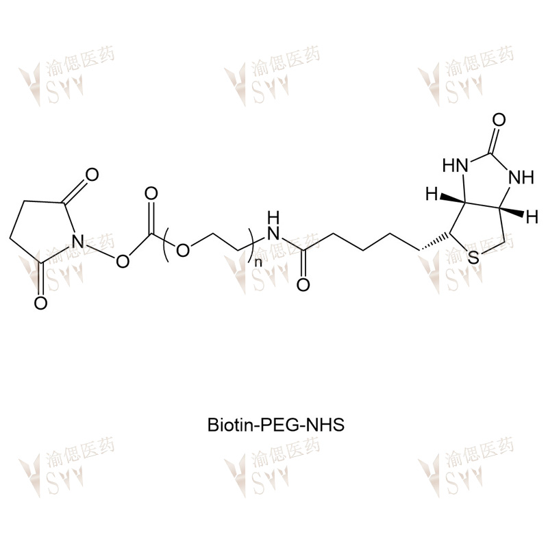 Biotin-PEG-NHS