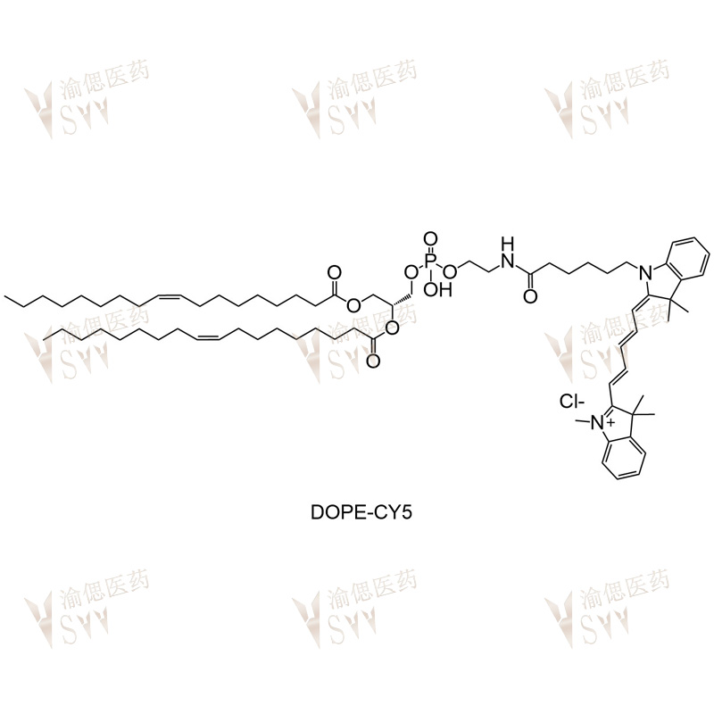 DOPE-CY5  CY5-DOPE