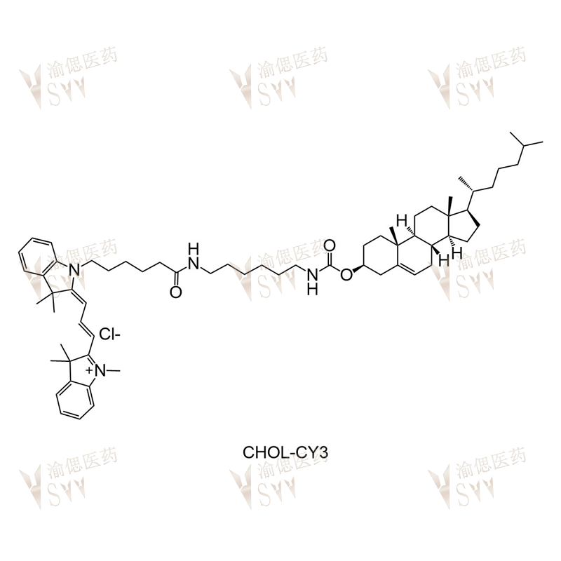 CY3-Cholesterol  Cholesterol-CY3